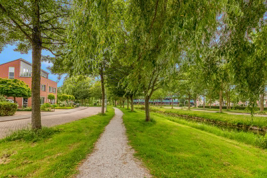 Photo 26 of De Spin 120