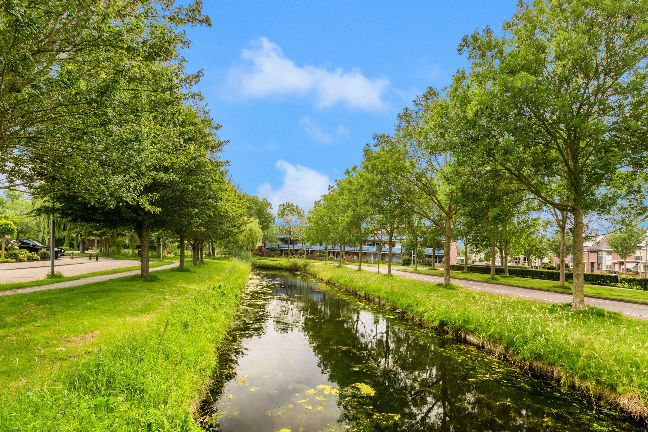 Photo 27 of De Spin 120