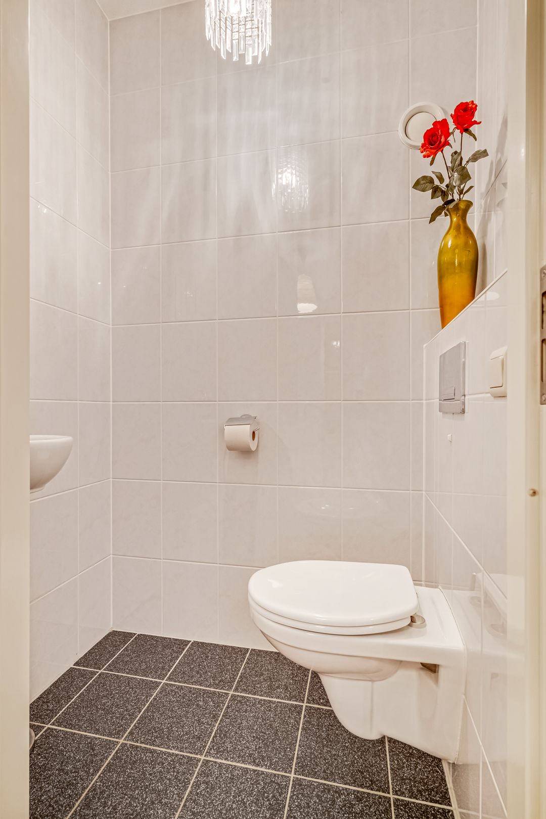 Photo 11 of Zilverberg 11