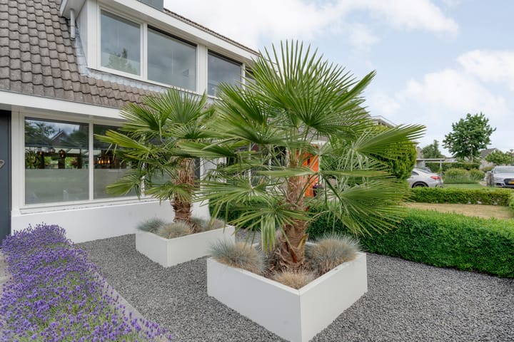 Foto 6 van Topaasdreef 9