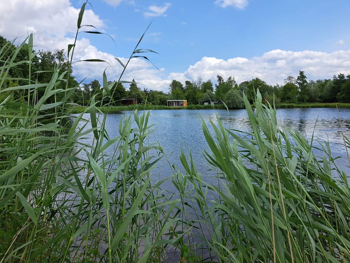 Photo 35 of Uilenburgsestraat 11