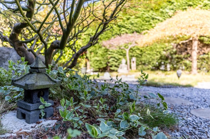 Foto 56 van Kromgouw 32