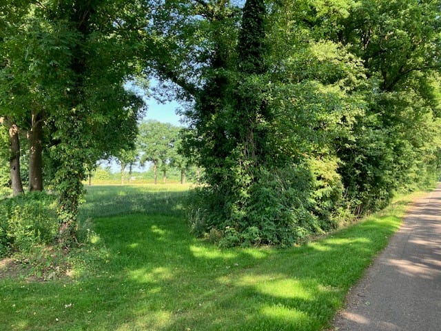 Bekijk foto 4 van Provincialeweg Zuna