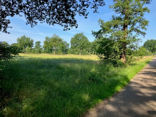 Bekijk foto 5 van Provincialeweg Zuna
