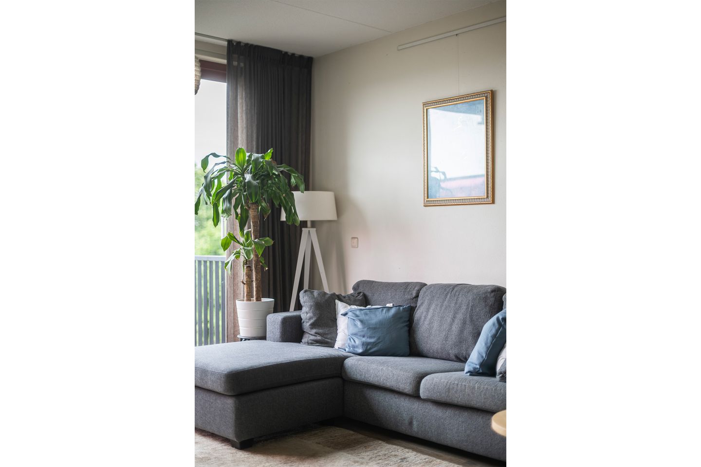 Foto 14 van Porporastraat 102