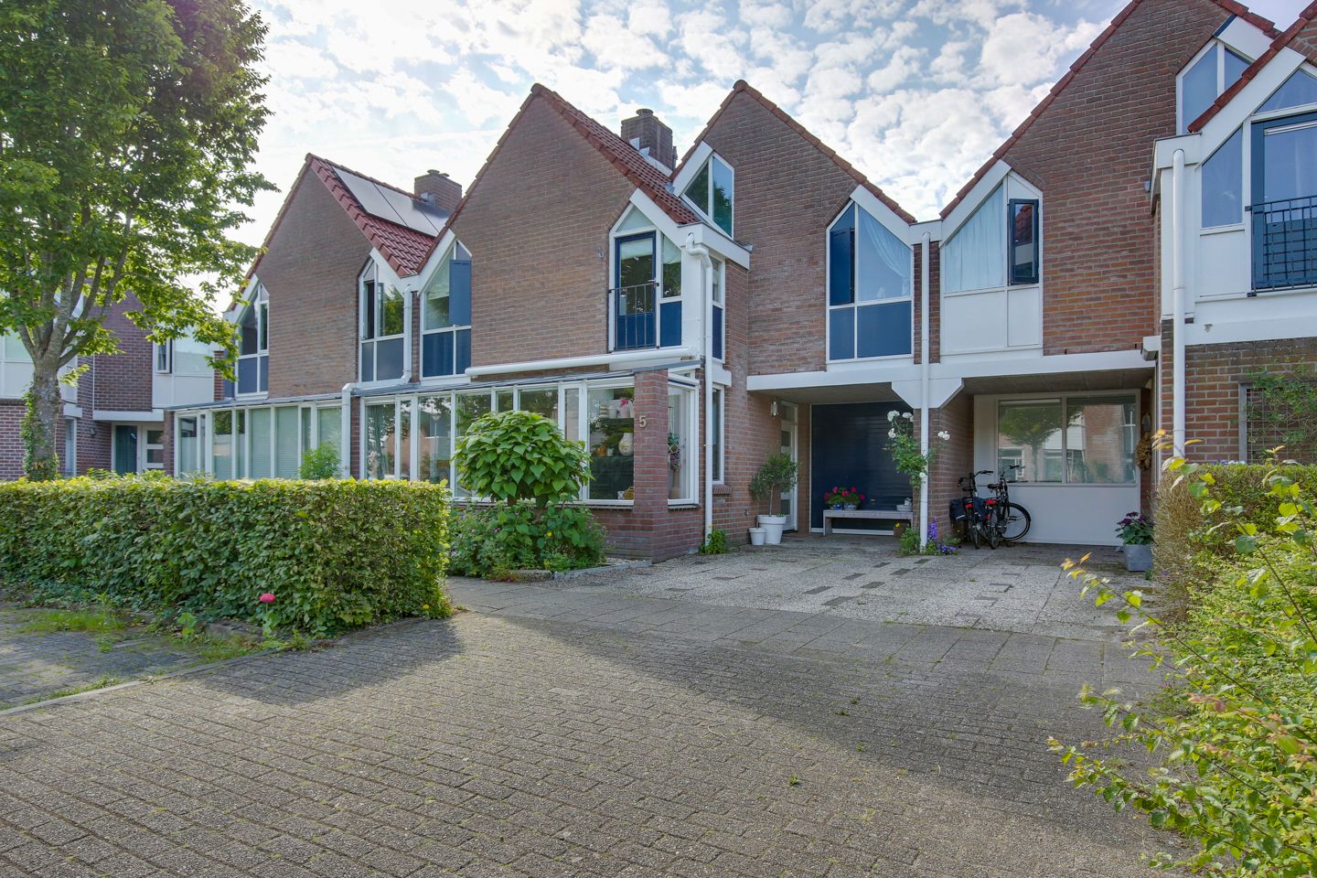 Foto 5 van Snavel van Emekamp 5