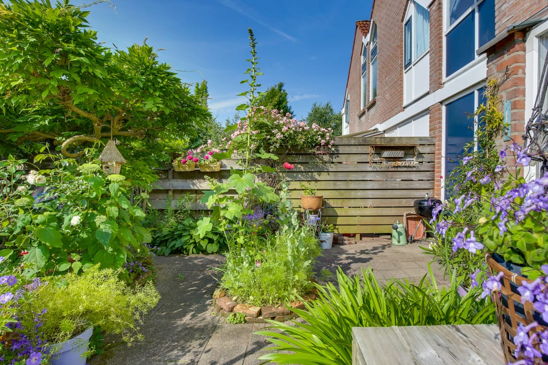 Foto 38 van Snavel van Emekamp 5