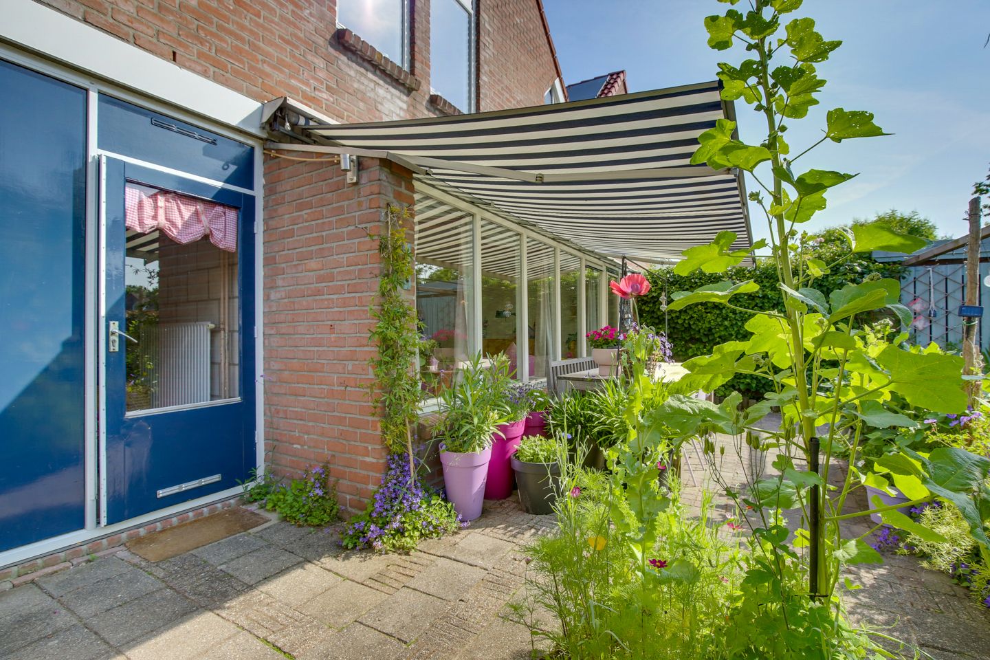 Foto 39 van Snavel van Emekamp 5