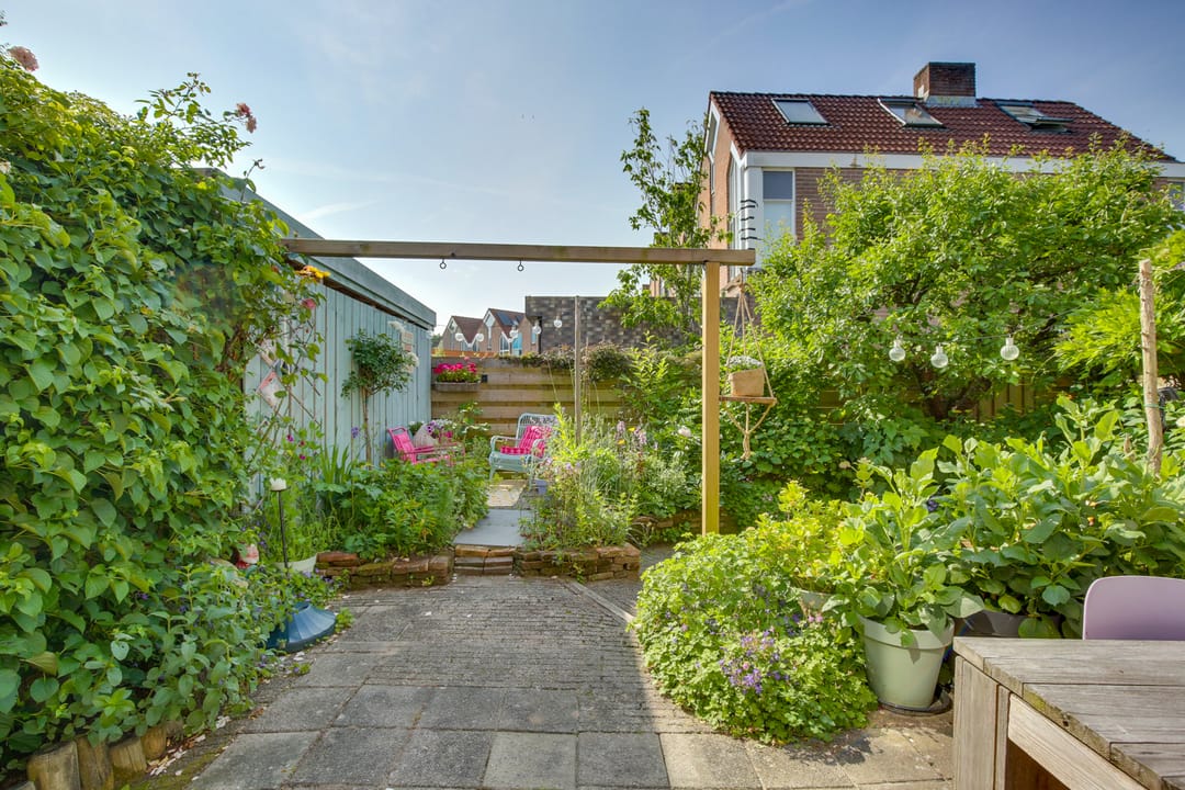 Foto 41 van Snavel van Emekamp 5