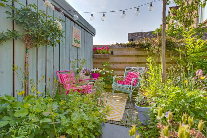 Foto 42 van Snavel van Emekamp 5