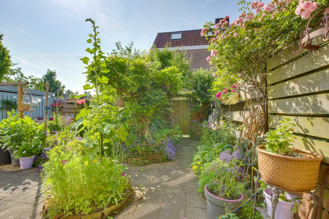 Foto 43 van Snavel van Emekamp 5