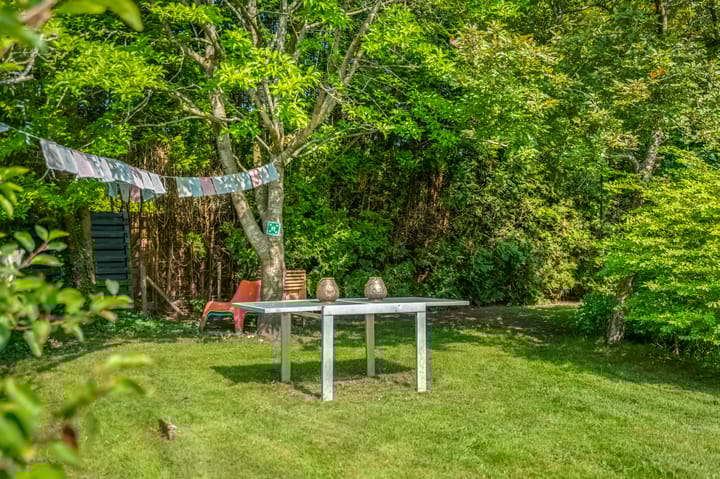 Foto 43 van Dwingelooweg 49