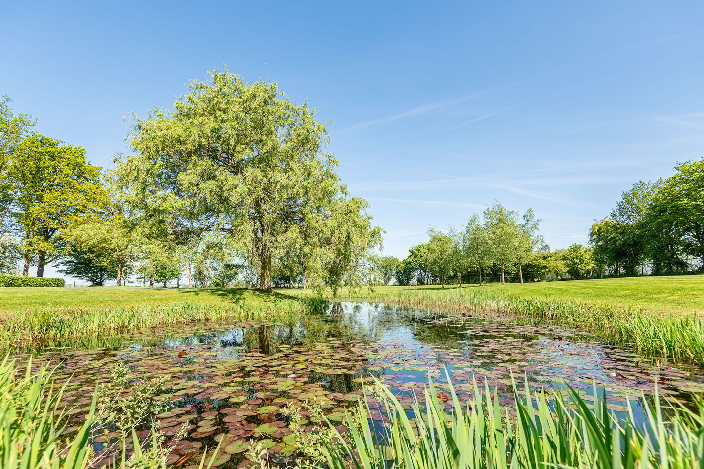 Photo 59 of Landstraat 34