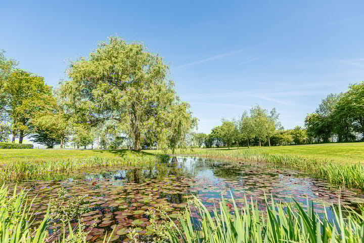 Foto 59 van Landstraat 34