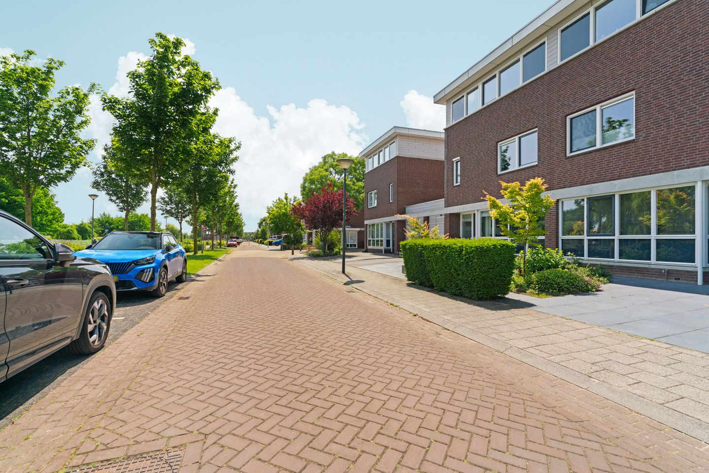 Foto 49 van Regenboog 155