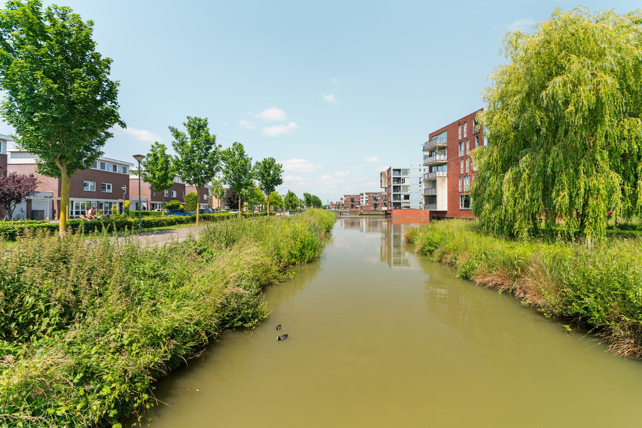 Foto 51 van Regenboog 155