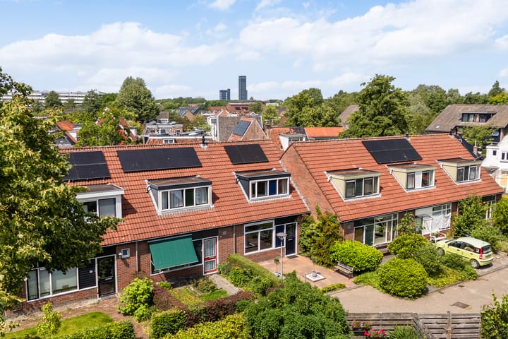 Photo 43 of Pieter Meeterstraat 8