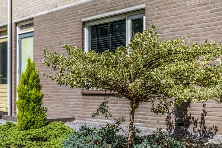 Foto 44 van Doesburgstraat 67