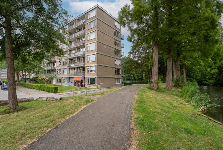 Foto 8 van Valkreek 100