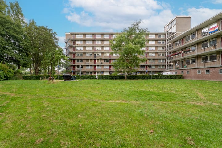 Foto 36 van Valkreek 100