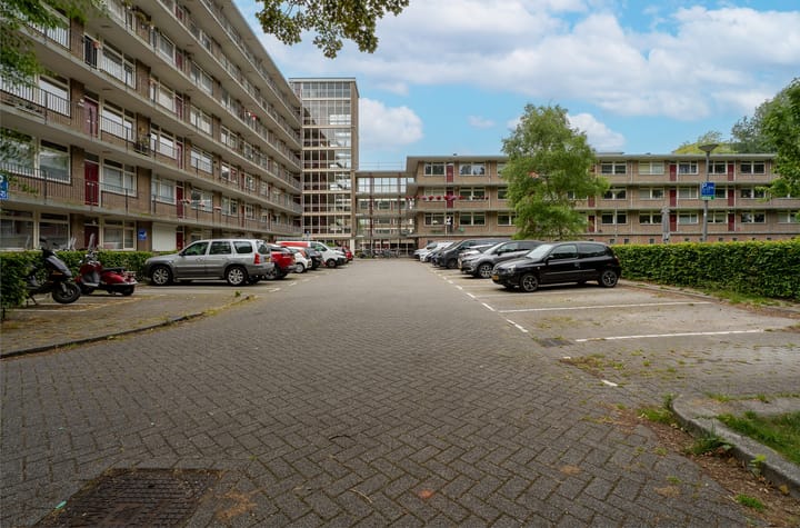 Foto 39 van Valkreek 100