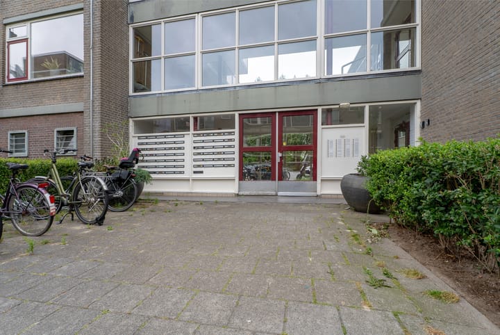 Foto 10 van Valkreek 100