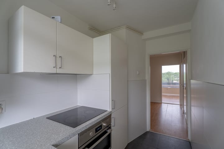 Foto 24 van Valkreek 100