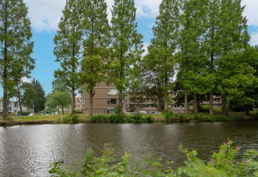 Foto 37 van Valkreek 100