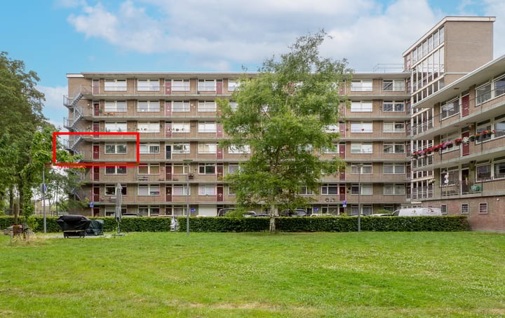 Foto 2 van Valkreek 100