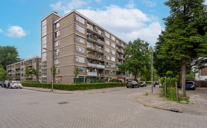 Foto 7 van Valkreek 100