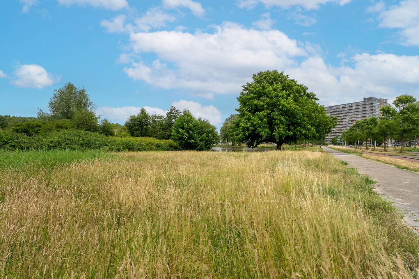 Foto 40 van Valkreek 100