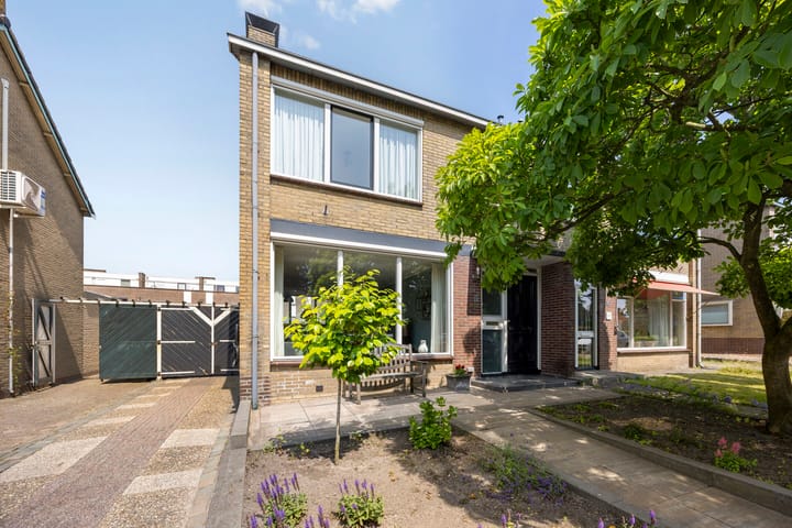 Foto 11 van Haatlanderdijk 11