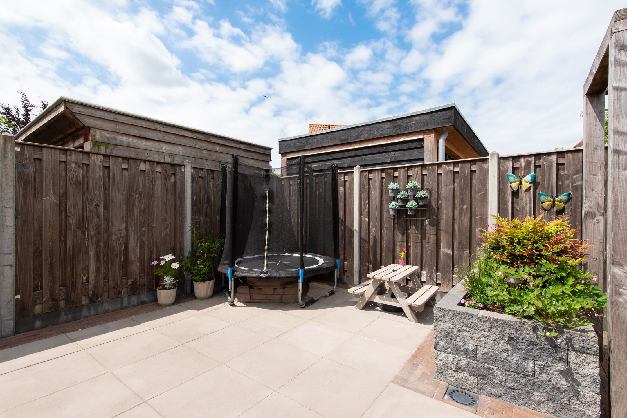 Foto 45 van Aurora 8