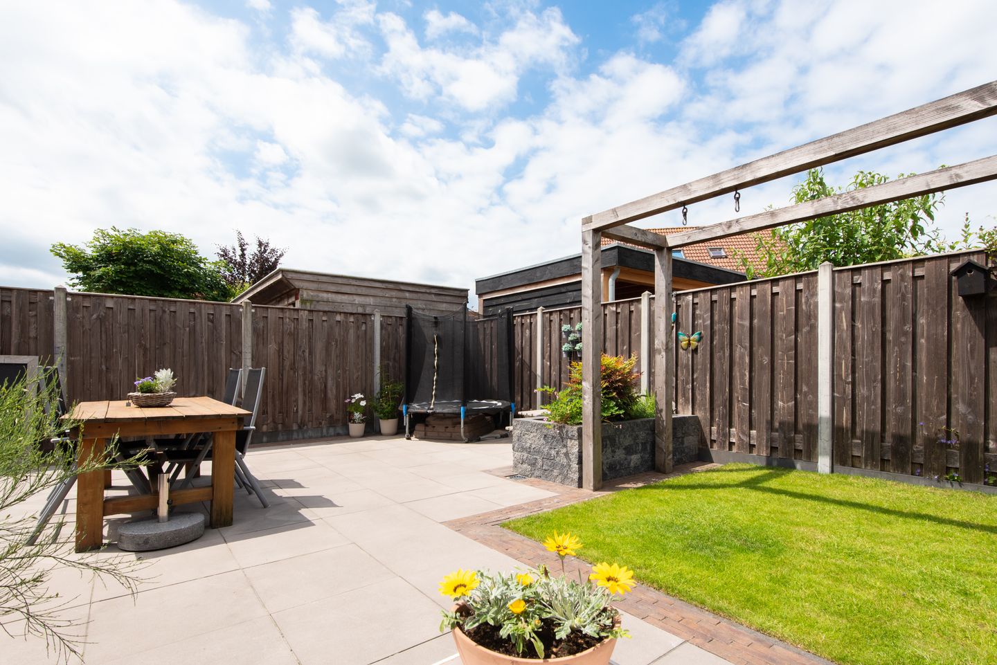 Foto 50 van Aurora 8