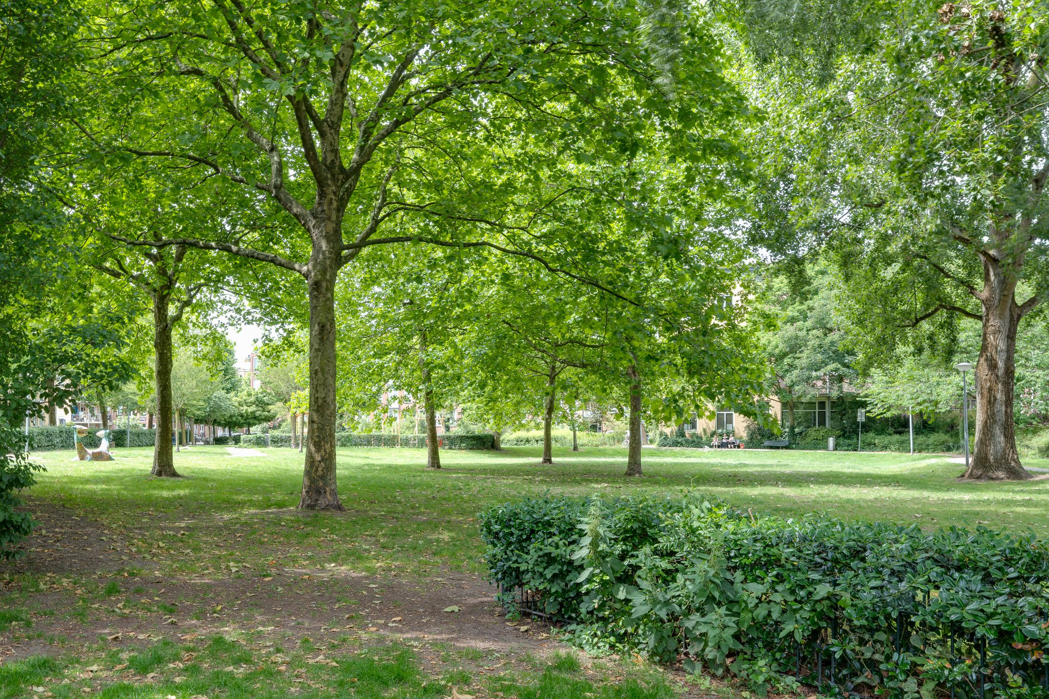 Foto 18 van Cruquiusstraat 2