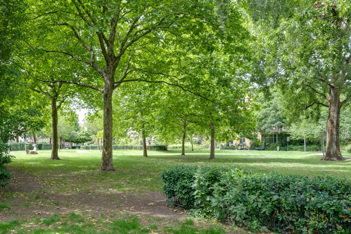 Foto 18 van Cruquiusstraat 2