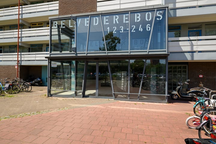 Bekijk foto van Belvédèrebos 193