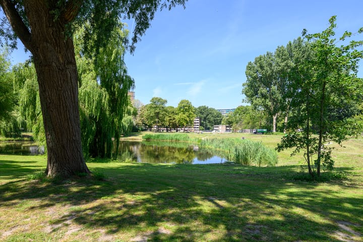 Foto 35 van Belvédèrebos 193