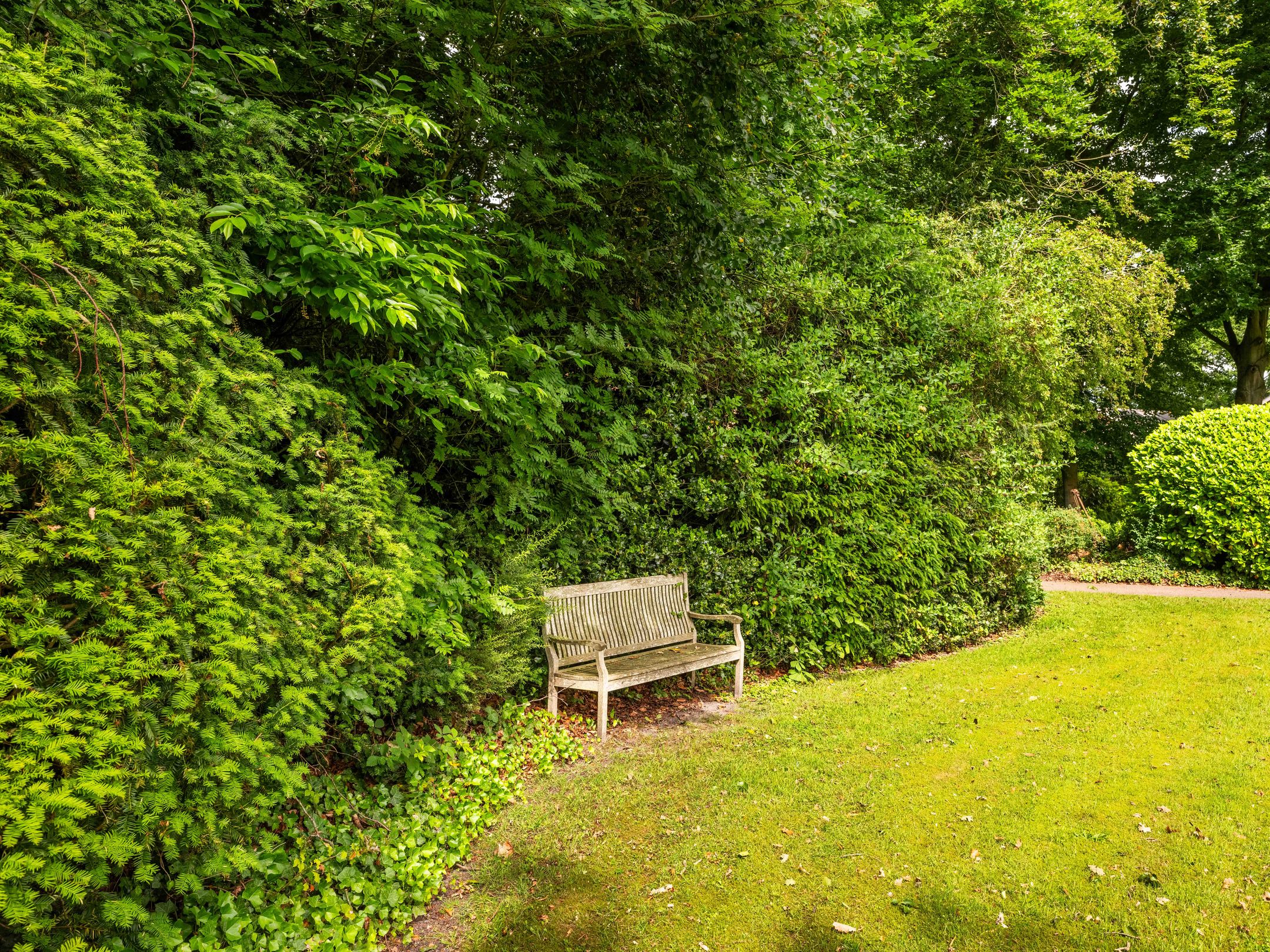 Photo 33 of Kloosterlaan 50