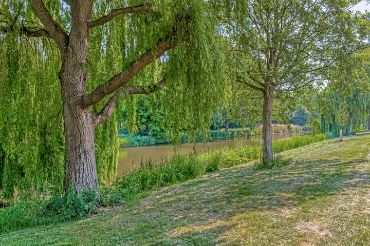 Photo 34 of Moutmolenstraat 25