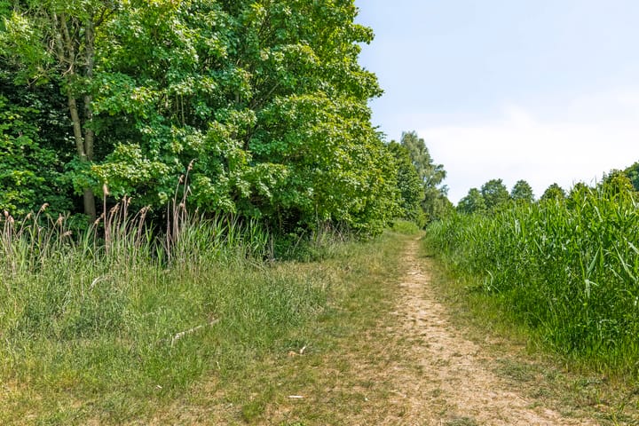 Photo 35 of Moutmolenstraat 25