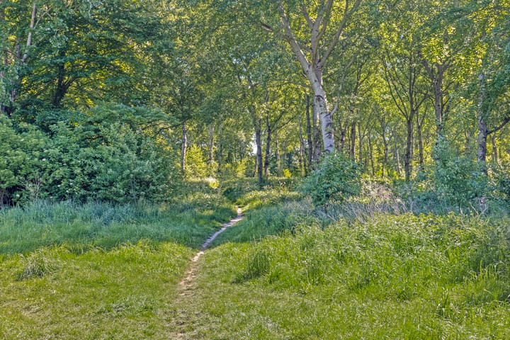 Photo 36 of Moutmolenstraat 25