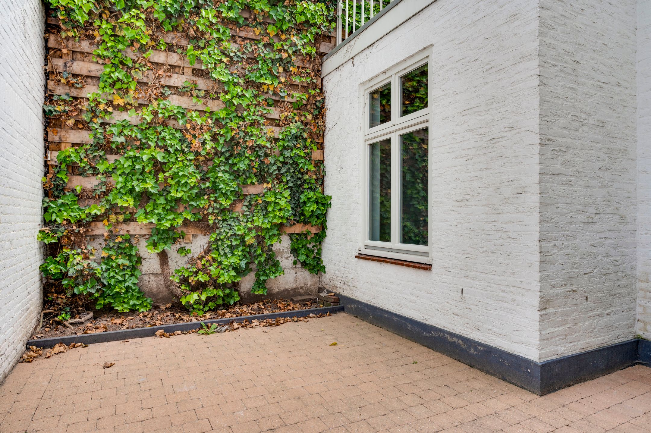 Foto 15 van Munsterstraat 1