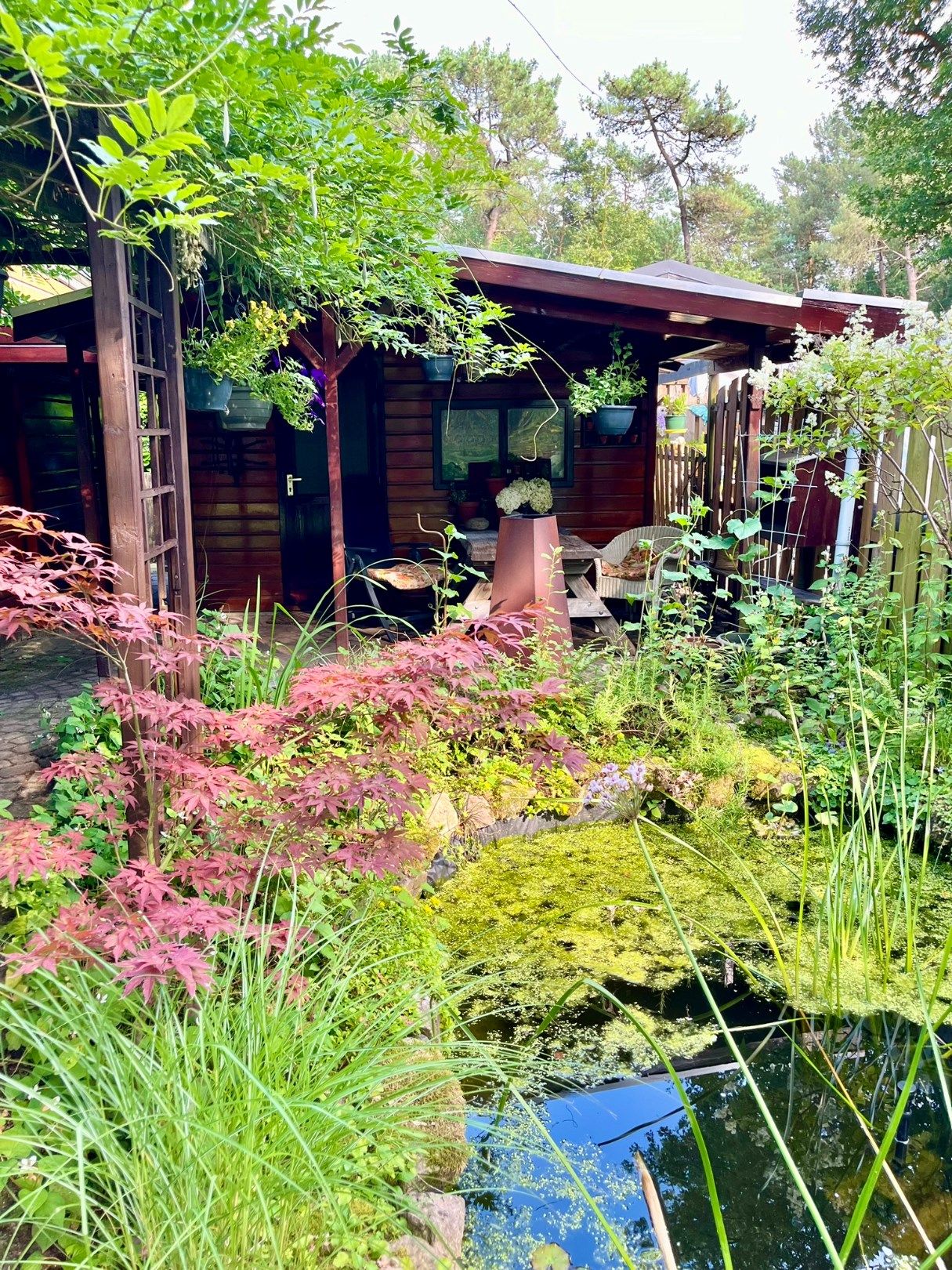 Foto 18 van Krampvenseweg