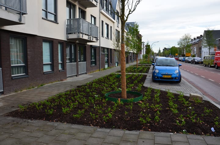 Foto 4 van Karel Mollenstraat Noord 31