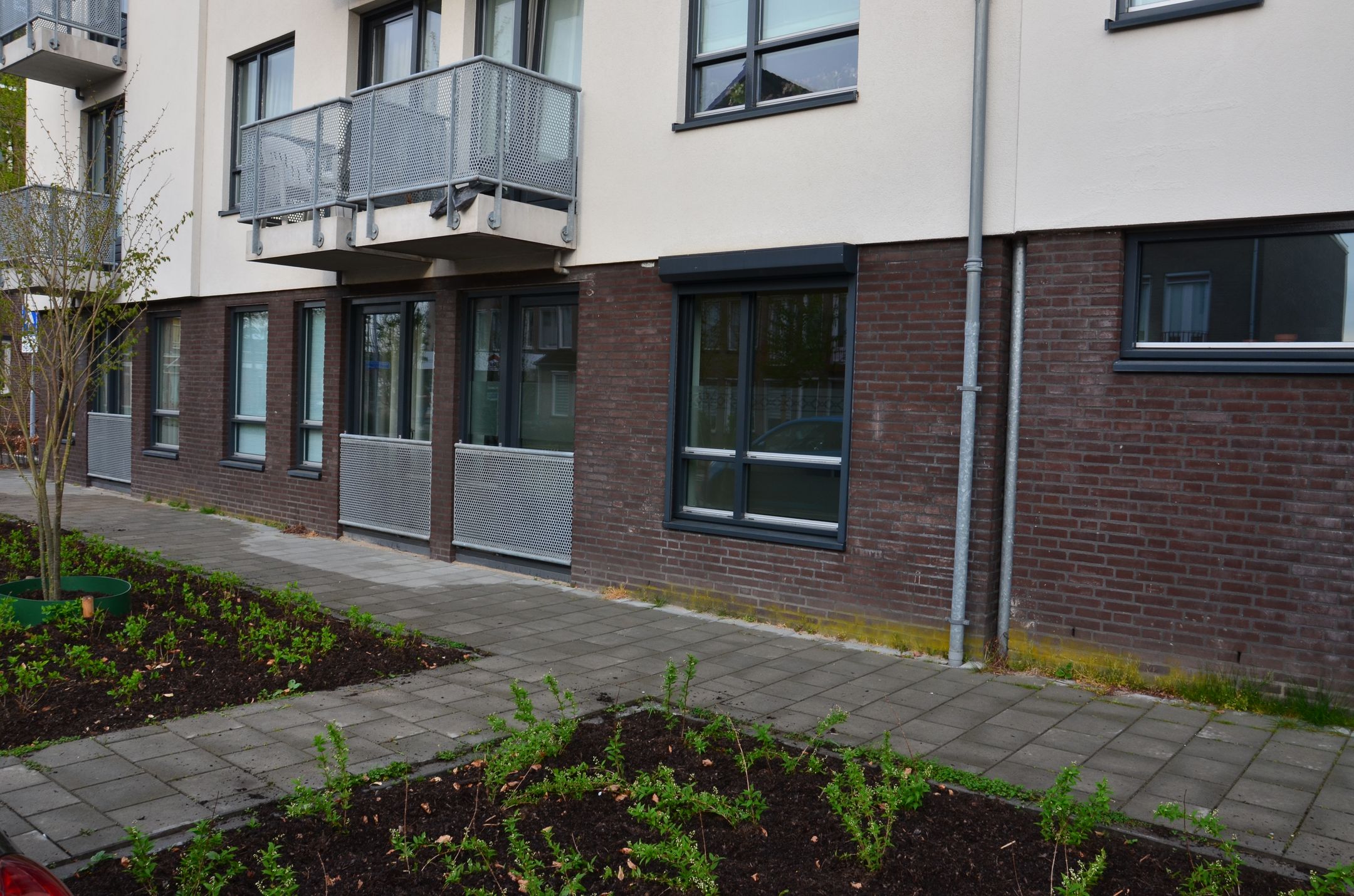 Foto 3 van Karel Mollenstraat Noord 31