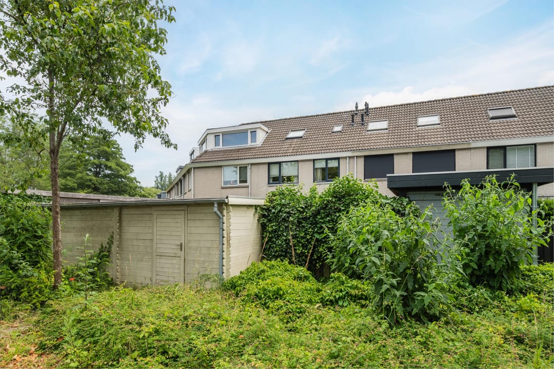 Foto 37 van Korenmolen 52