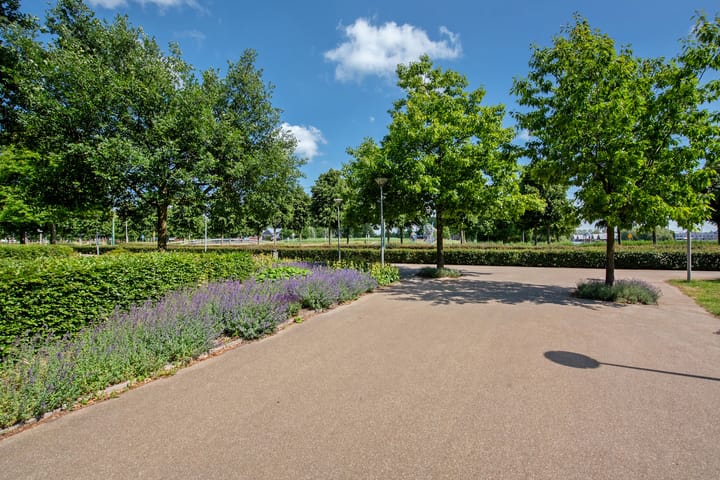 Foto 31 van Schrabber 52