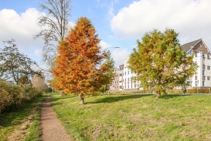 Foto 33 van Tienakker 42