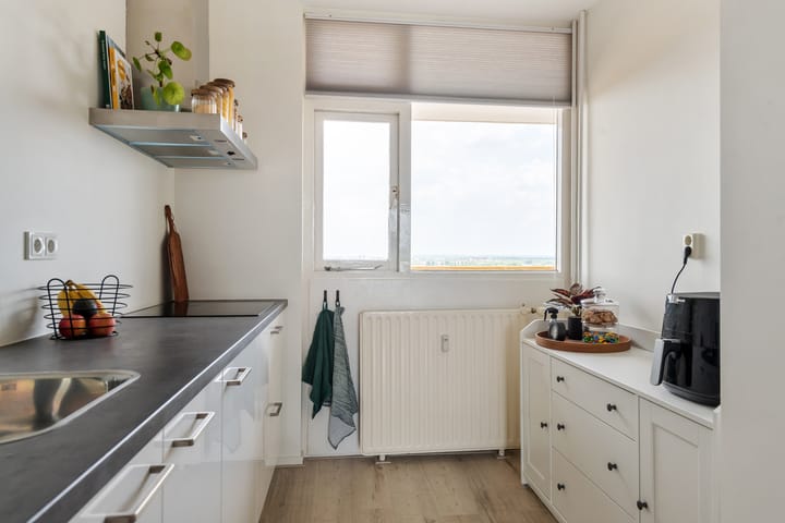 Foto 12 van Prins Willem-Alexanderpark 579